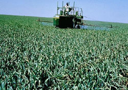 Surface and Groundwater Hydrology